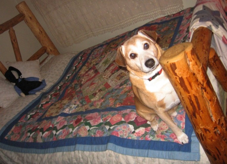 LakeHouseClosetQuilt+Buddy