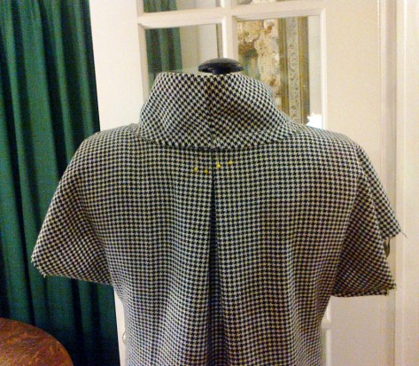 B&W back collar pinned-a