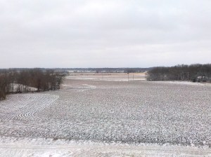 Snowy field Jan 30 2013