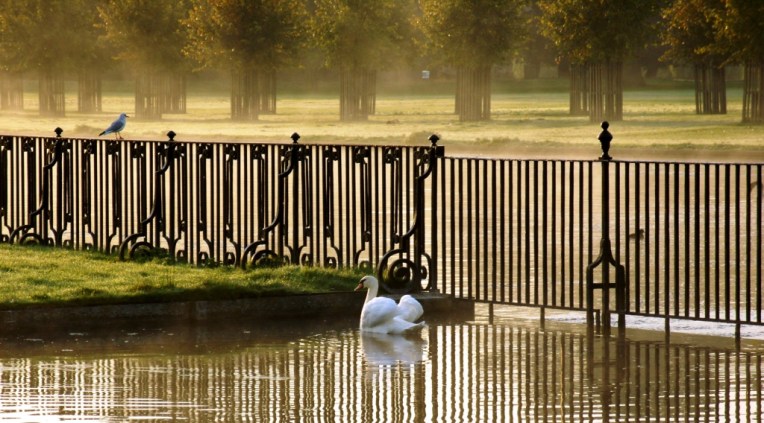 SAMSUNG DIGITAL CAMERA