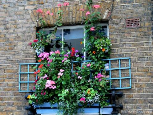 Window trellis-w