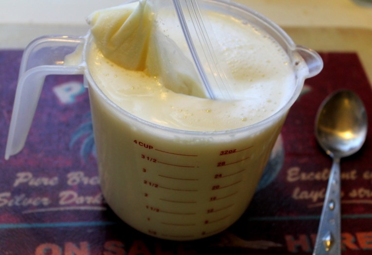 Frozen yogurt starter