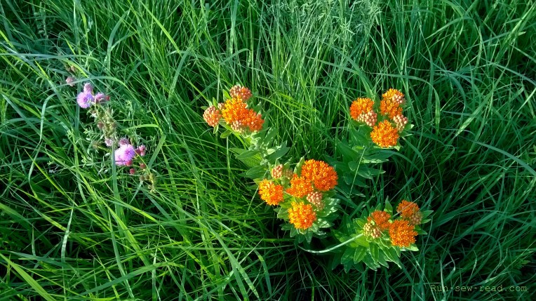 WP_20140608_019--marked