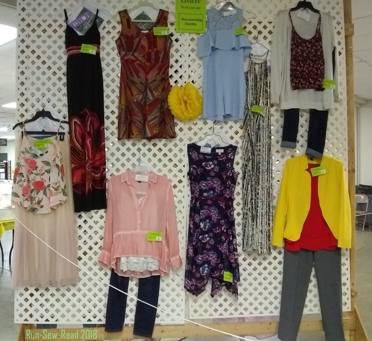 DG County Fair garment construction teens