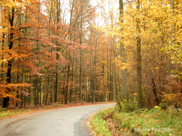 SAMSUNG DIGITAL CAMERA