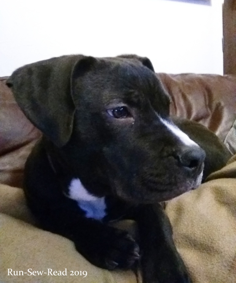 Myrtle 1-25-2019 RSR