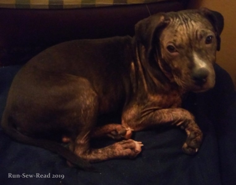 Myrtle first night a RSR