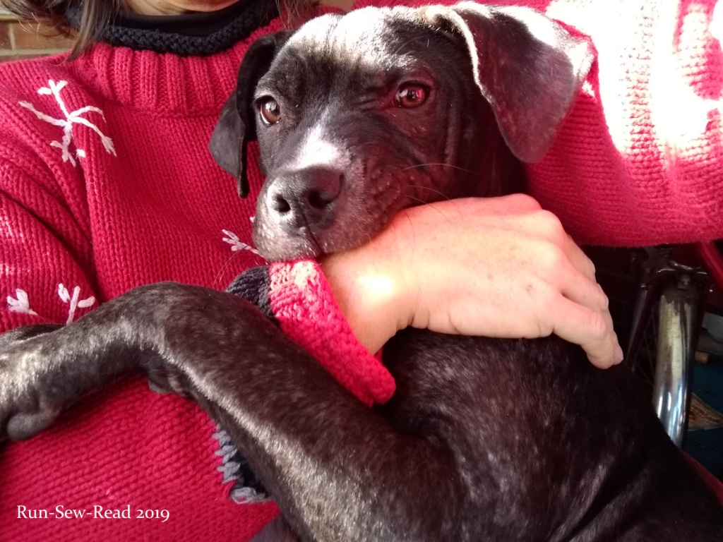 Myrtle holidays 2018 RSR