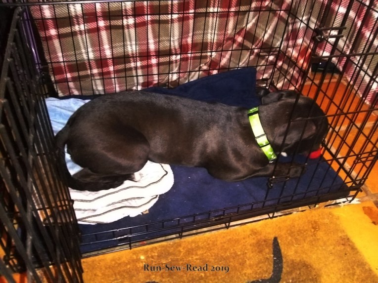 Myrtle in girl cave a w RSR