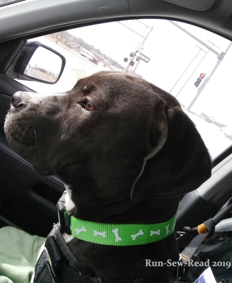 Myrtle shotgun a w RSR