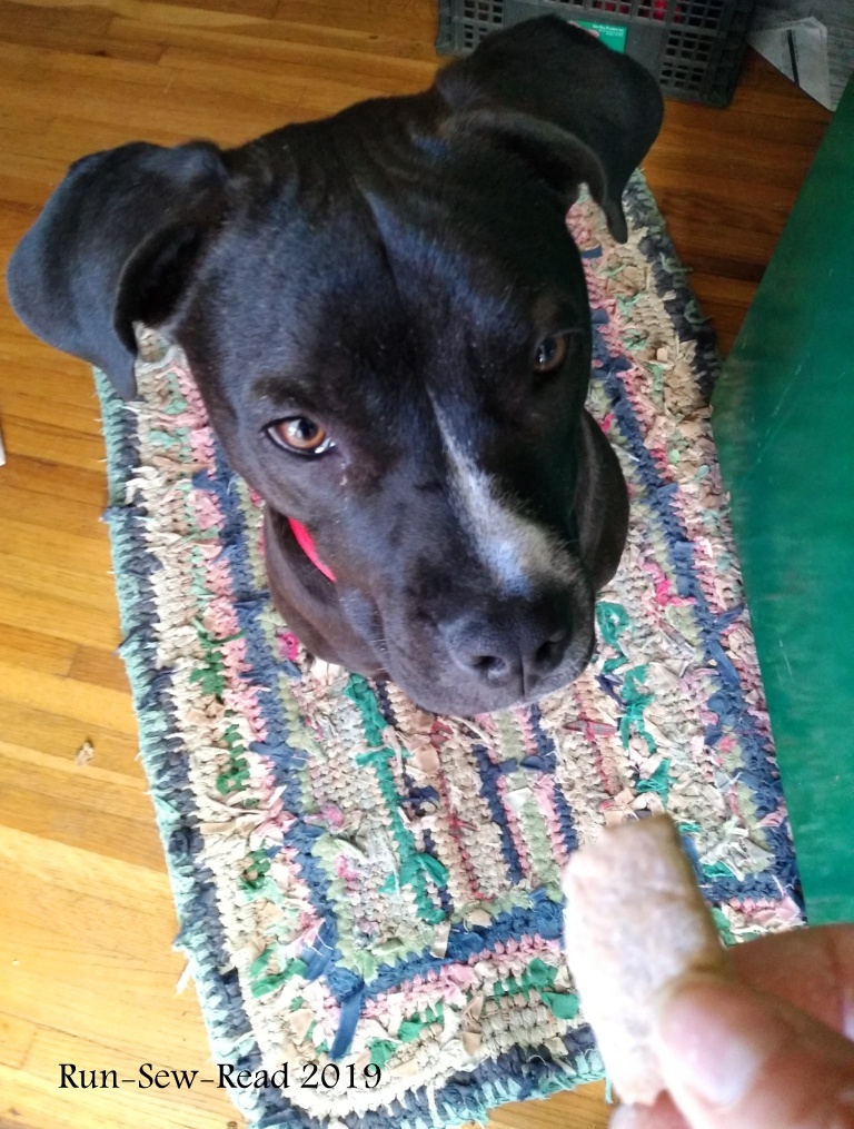 IMG_20190427_093521413w