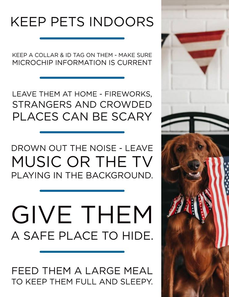 Fourth of July pet tips from KHS