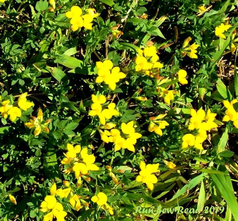 SAMSUNG DIGITAL CAMERA